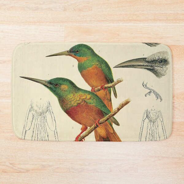 Item preview, Vintage Jacamar Ornithology Zoological Illustration designed and sold by InnerCitadel.