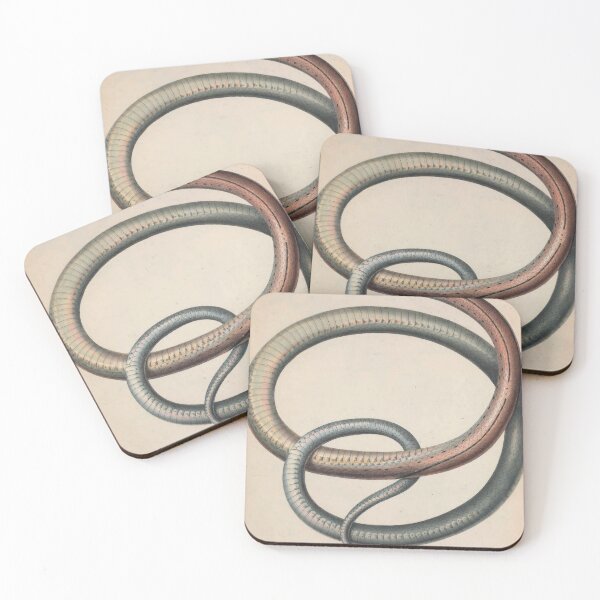 Item preview, Vintage Zoological Print Indonesian Ratsnake designed and sold by InnerCitadel.