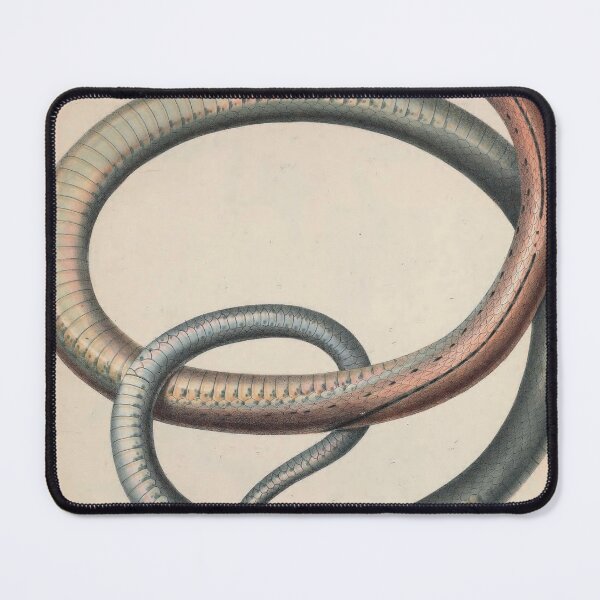 Item preview, Vintage Zoological Print Indonesian Ratsnake designed and sold by InnerCitadel.