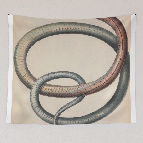 Item preview, Vintage Zoological Print Indonesian Ratsnake designed and sold by InnerCitadel.