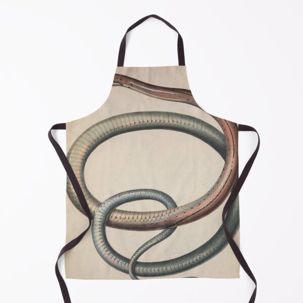Item preview, Vintage Zoological Print Indonesian Ratsnake designed and sold by InnerCitadel.