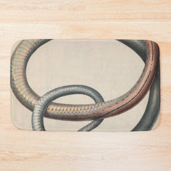 Item preview, Vintage Zoological Print Indonesian Ratsnake designed and sold by InnerCitadel.