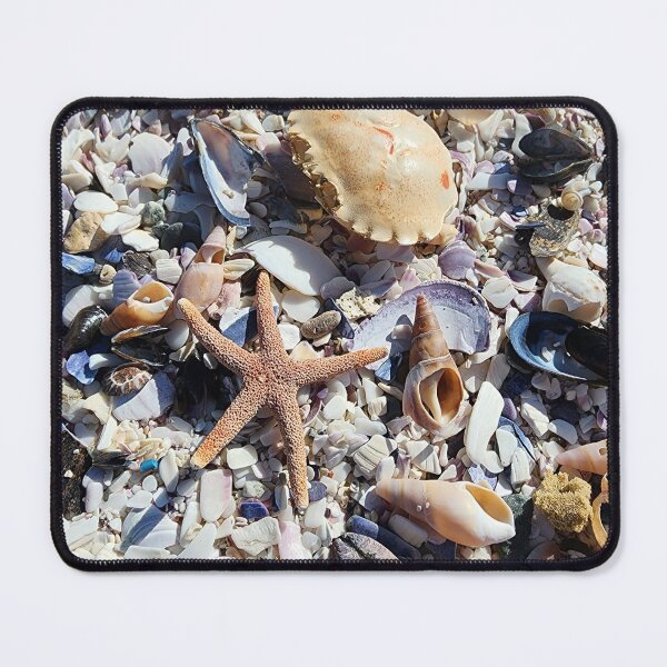 Item preview, Collection of shells with a seastar designed and sold by ThatsAnna.
