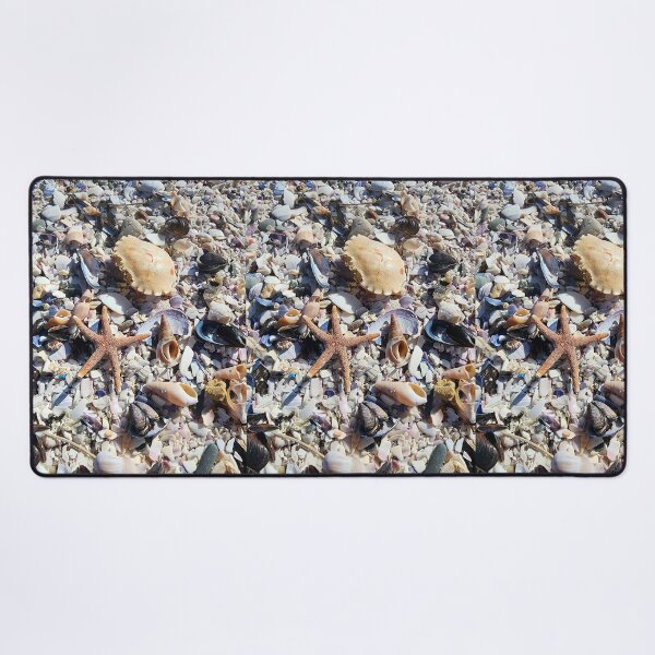 Item preview, Collection of shells with a seastar designed and sold by ThatsAnna.