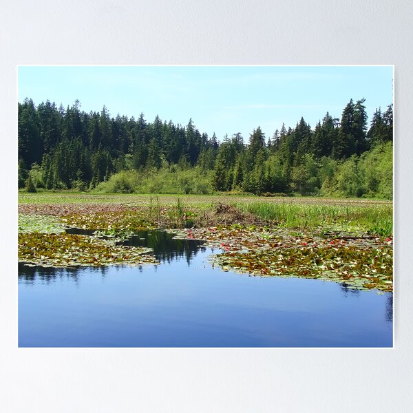 Item preview, Outer Spaciousness designed and sold by RobertCharles.