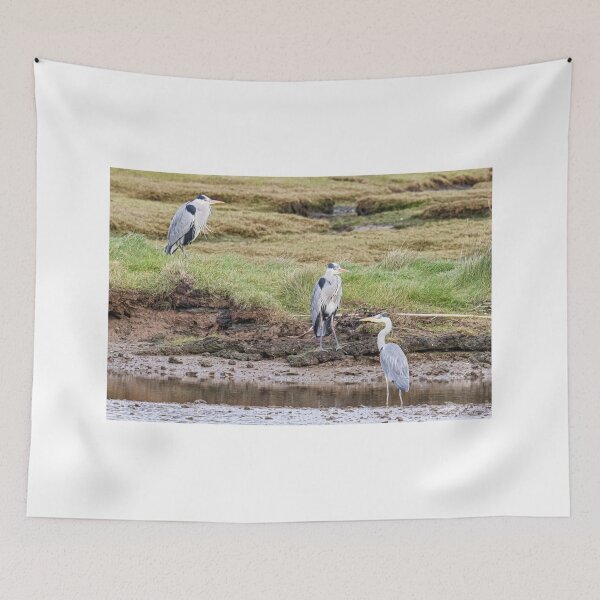 Item preview, Three Grey Herons designed and sold by kathleenjean.