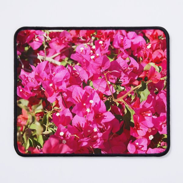 Item preview, Fuchsia Bougainvillea designed and sold by manoloshoping.