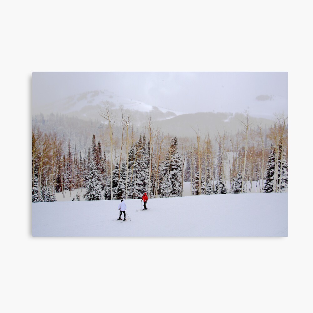go slow Canvas Print