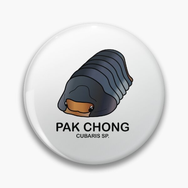 Item preview,  Cubaris Sp. 'Pak Chong' designed and sold by ArmadilloPods.