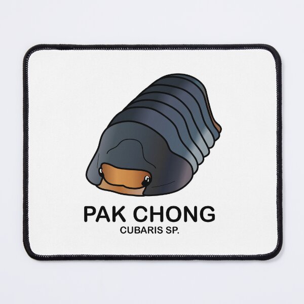 Item preview,  Cubaris Sp. 'Pak Chong' designed and sold by ArmadilloPods.
