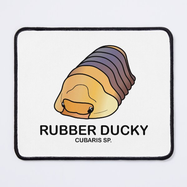 Item preview, Cubaris Sp. 'Rubber Ducky' designed and sold by ArmadilloPods.