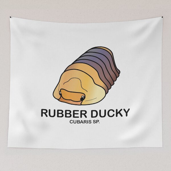 Item preview, Cubaris Sp. 'Rubber Ducky' designed and sold by ArmadilloPods.