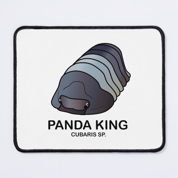 Item preview, Cubaris Sp. 'Panda King' designed and sold by ArmadilloPods.