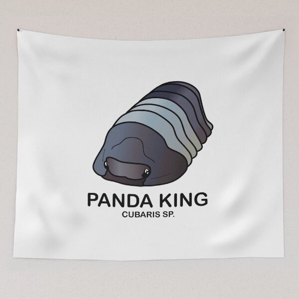 Item preview, Cubaris Sp. 'Panda King' designed and sold by ArmadilloPods.