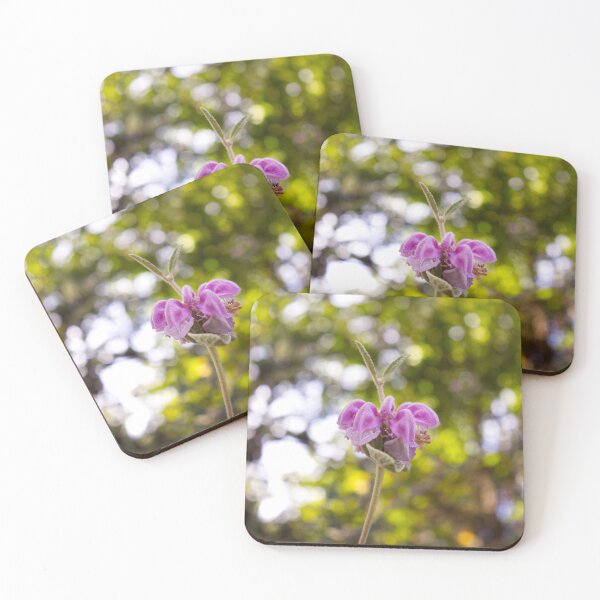 Item preview, Torcal flower designed and sold by criscacti.
