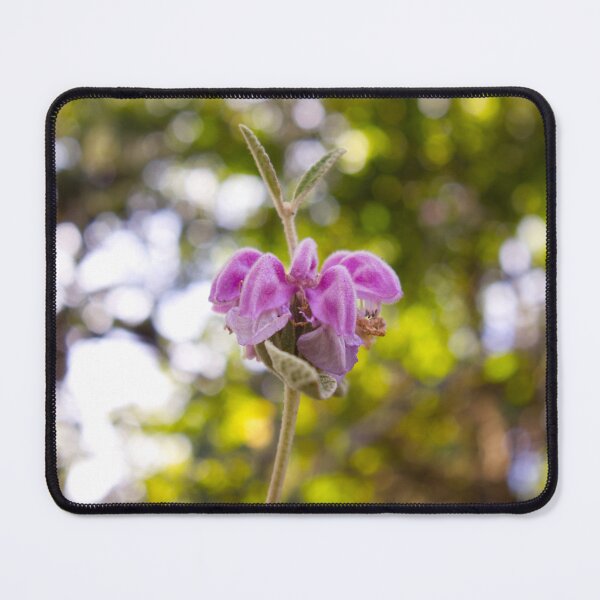 Item preview, Torcal flower designed and sold by criscacti.