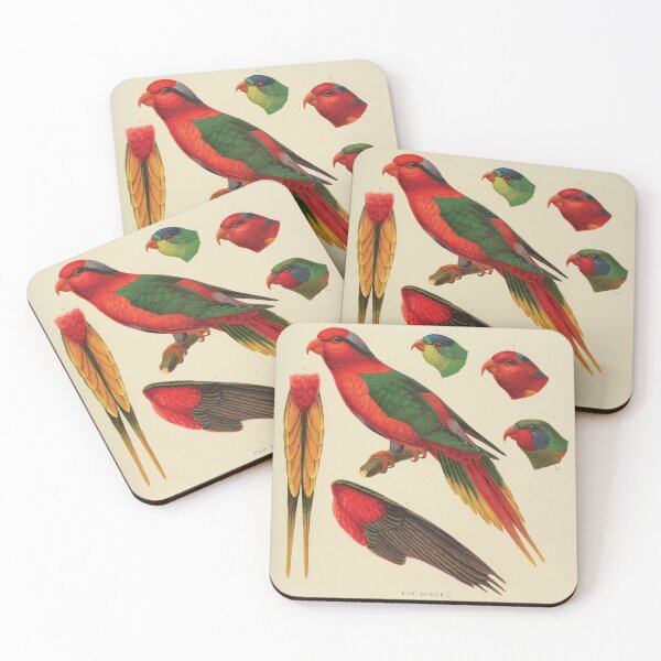 Item preview, Vintage Parrot Scientific Illustration - Zoological Print designed and sold by InnerCitadel.