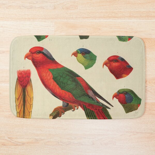 Item preview, Vintage Parrot Scientific Illustration - Zoological Print  designed and sold by InnerCitadel.