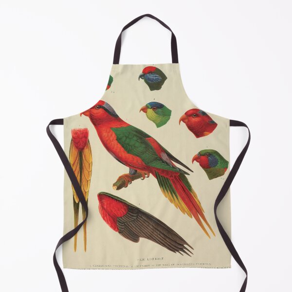 Item preview, Vintage Parrot Scientific Illustration - Zoological Print designed and sold by InnerCitadel.