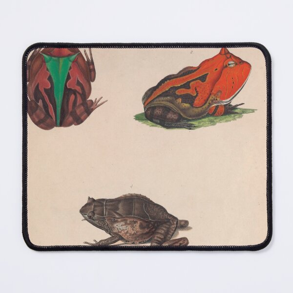 Item preview,  Vintage Scientific Frog Illustration - 19th Century Natural History designed and sold by InnerCitadel.