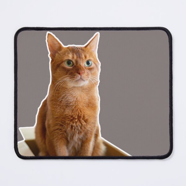 Item preview, Cat in a Box designed and sold by Fire TheMann.