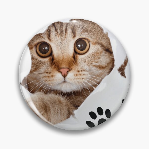 Item preview, Majestic Cat with Piercing Golden Eyes designed and sold by RrTc.