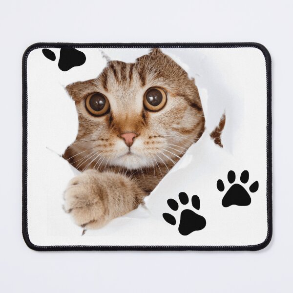 Item preview, Majestic Cat with Piercing Golden Eyes designed and sold by RrTc.