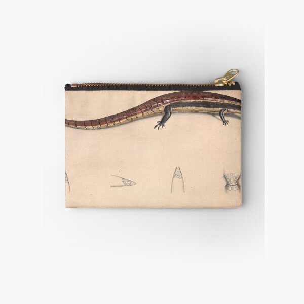 Item preview,  Antique Scientific Illustration of Skink - 19th Century Natural History  designed and sold by InnerCitadel.
