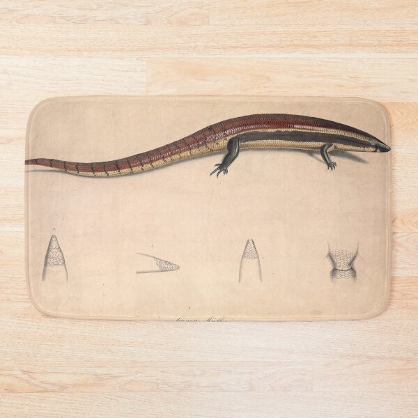 Item preview,  Antique Scientific Illustration of Skink - 19th Century Natural History  designed and sold by InnerCitadel.