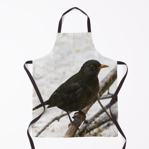 Item preview, Black carrot nose. Common blackbird designed and sold by Jouko Lehto Photography.