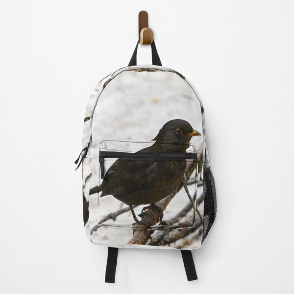 Item preview, Black carrot nose. Common blackbird designed and sold by Jouko Lehto Photography.