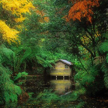 Artwork thumbnail, The Boatshed. by Ern Mainka