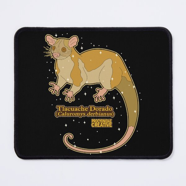 Item preview, Tlacuache Dorado designed and sold by Procyonidae Creative.