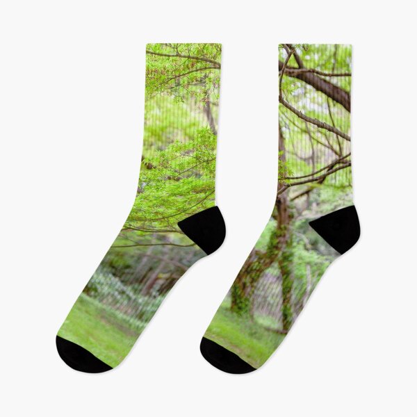 Item preview, Enchanting Green Forest – Nature’s Serenity designed and sold by Bentenya.