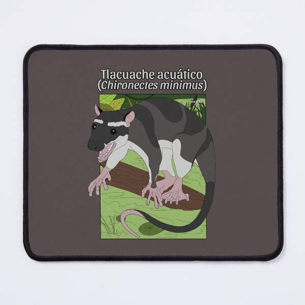 Item preview, Tlacuache Acuatico designed and sold by Procyonidae Creative.