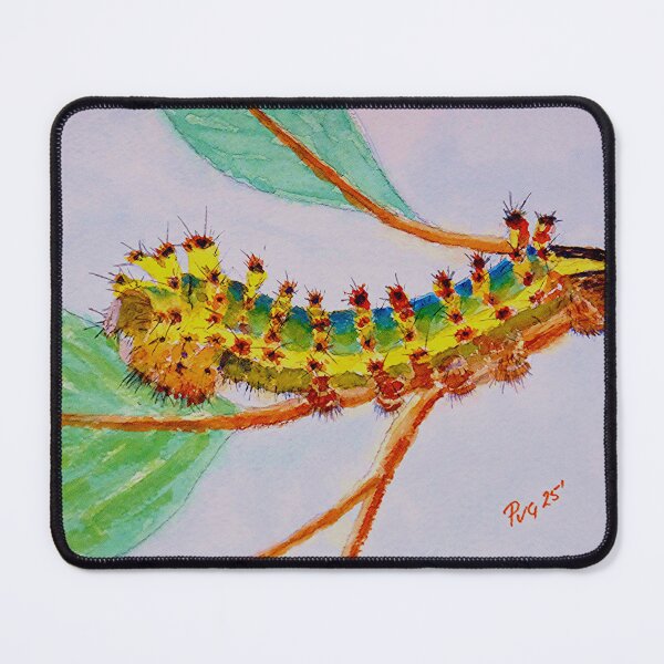 Item preview, Emperor Gum Moth - Watercolour designed and sold by Paul Gilbert.