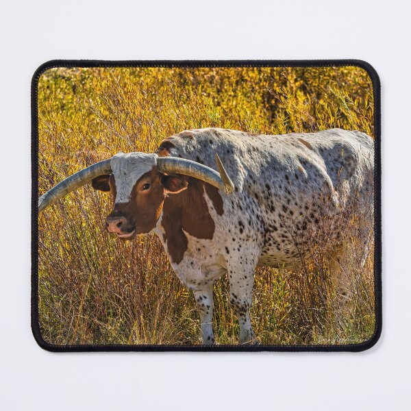 Item preview, Longhorn amongst autumn foliage  designed and sold by AlsknMommaBear2.