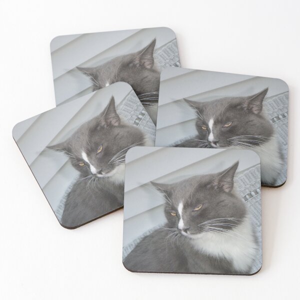 Item preview, Cute Cat Side-eye Print designed and sold by Nikoxxo.