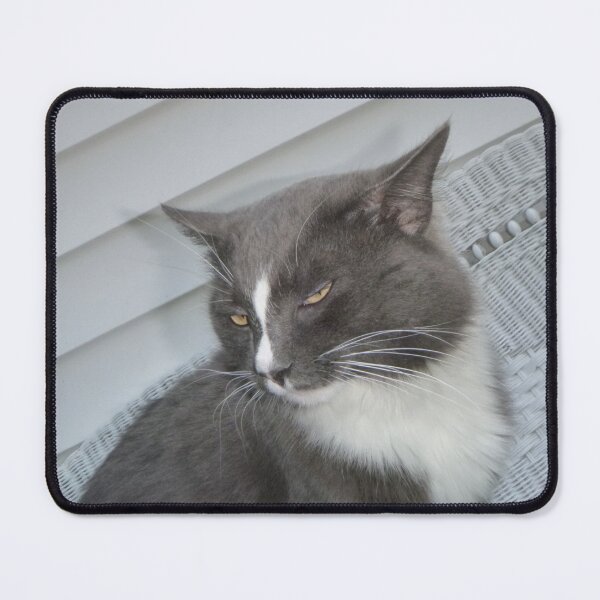Item preview, Cute Cat Side-eye Print designed and sold by Nikoxxo.