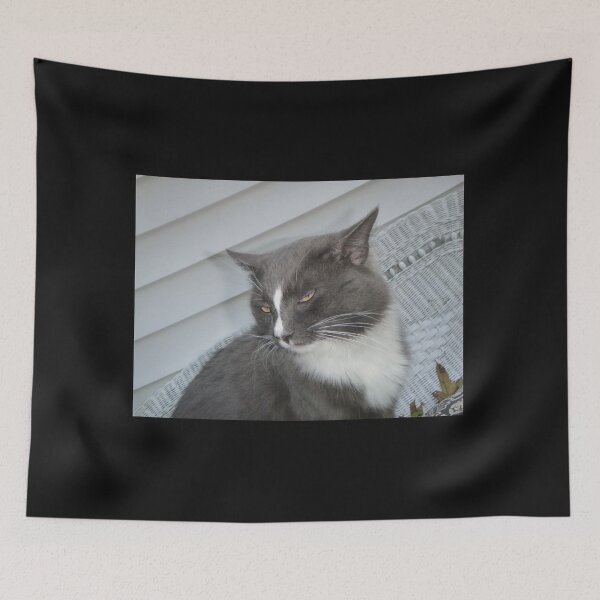 Item preview, Cute Cat Side-eye Print designed and sold by Nikoxxo.
