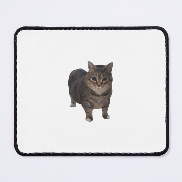 Item preview, uia cat  designed and sold by alicjadesigns.