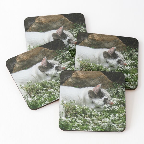 Item preview, Munchkin in the Alyssum designed and sold by heatherfriedman.