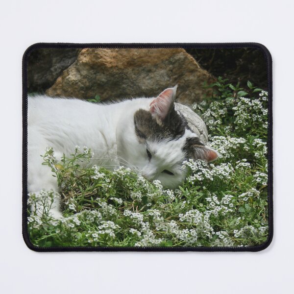 Item preview, Munchkin in the Alyssum designed and sold by heatherfriedman.