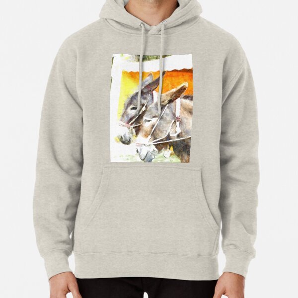 Muzzle of two donkeys Pullover Hoodie