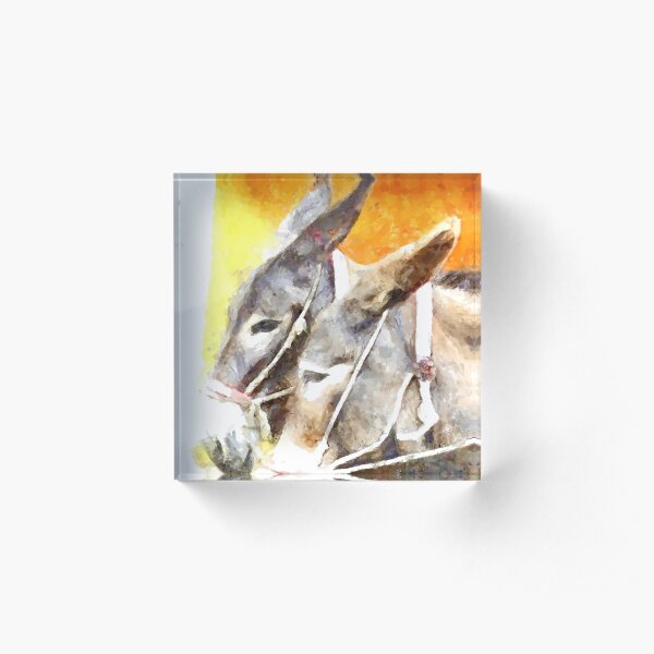 Muzzle of two donkeys Acrylic Block