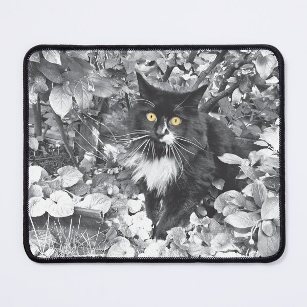 Item preview, Steve In A Bush designed and sold by Teresa-Deak.