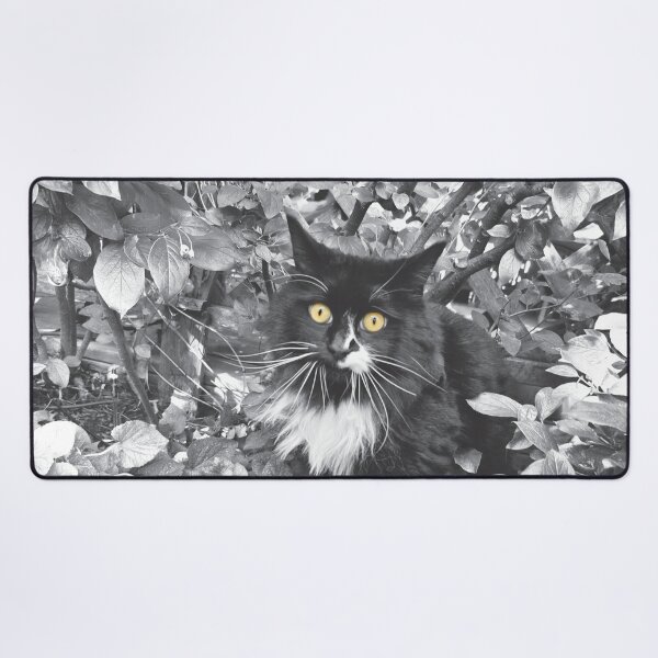 Item preview, Steve In A Bush designed and sold by Teresa-Deak.