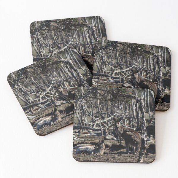 Item preview, Eastern Grey Kangaroo designed and sold by Mathew Reed.