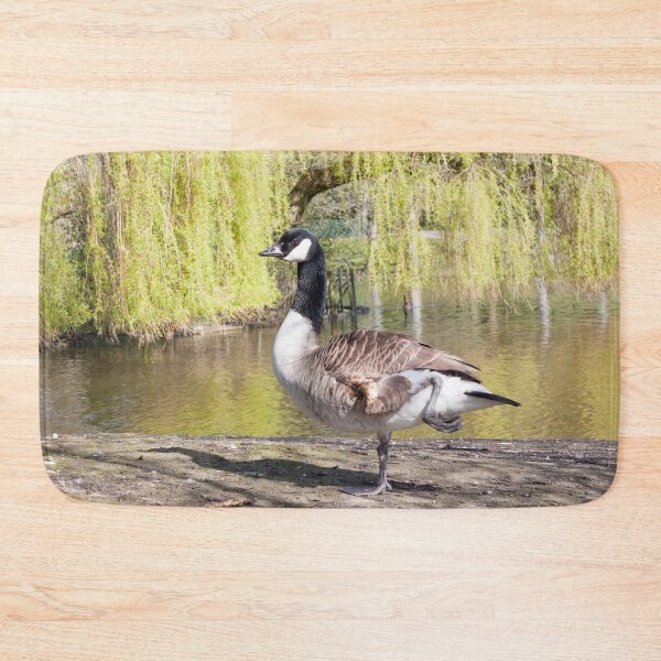 Item preview, Canada Goose by the Pond at Hanley Park designed and sold by David Patterson.