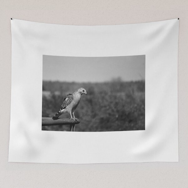 Item preview, Hunting Red-Shouldered Hawk Black And White  designed and sold by MercerImages.